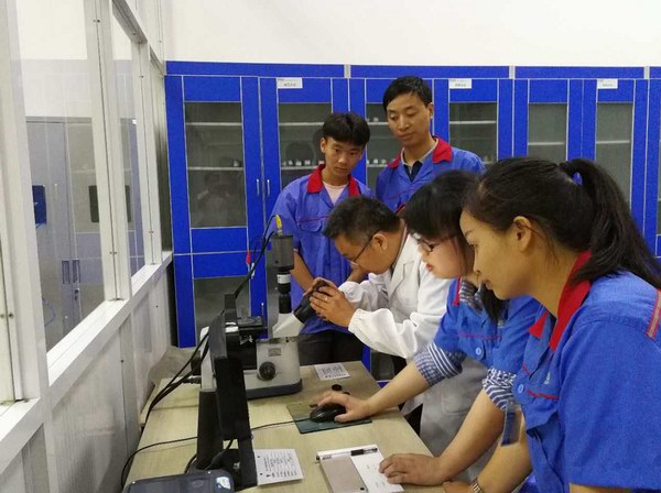 55世纪-购彩大厅welcome(中国游)官方网站