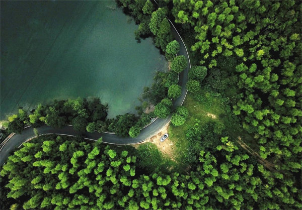 55世纪-购彩大厅welcome(中国游)官方网站