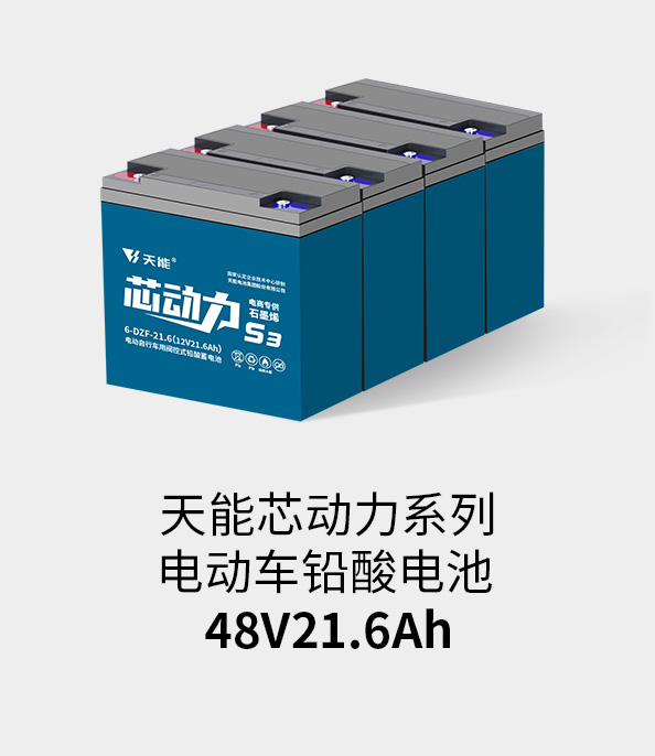 55世纪电池48v20ah