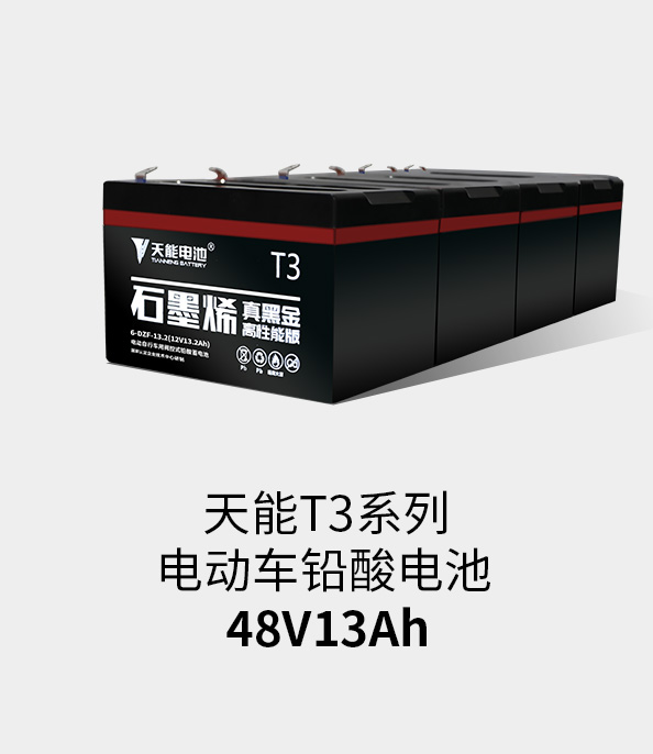 55世纪T3系列48v13ah