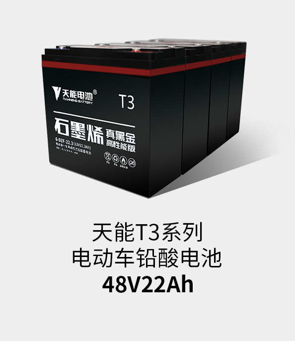 55世纪T3系列48v22ah